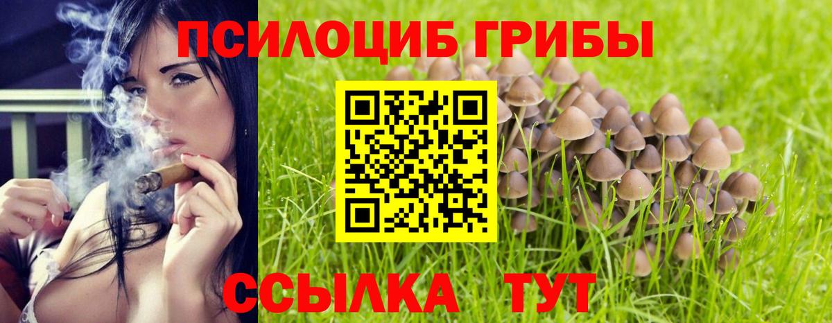 Псилоцибиновые грибы Cubensis Нягань